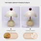 Shell-shaped Table Lamp for Bedroom, Luxury Minimalist Bedside Light, Wedding Gift, Night Light